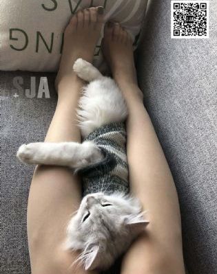 欧美另类videos_国产剧韩国电影在线观看